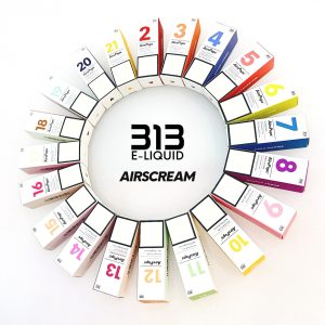 英國 Airscram 汽泡 313系列