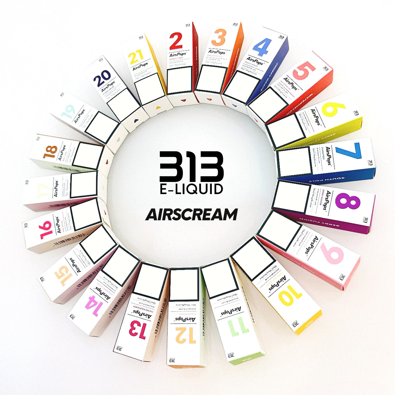 英國 Airscram 汽泡 313系列