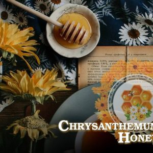 Genesis 創世紀(微涼)