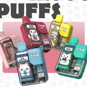 TISIC 二代方塊 首款可調整功率一性次主機